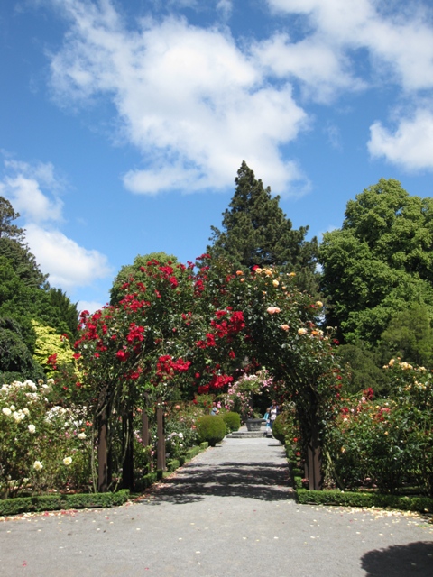 Entrance to rose garden in Christchurch Botanical Gardens